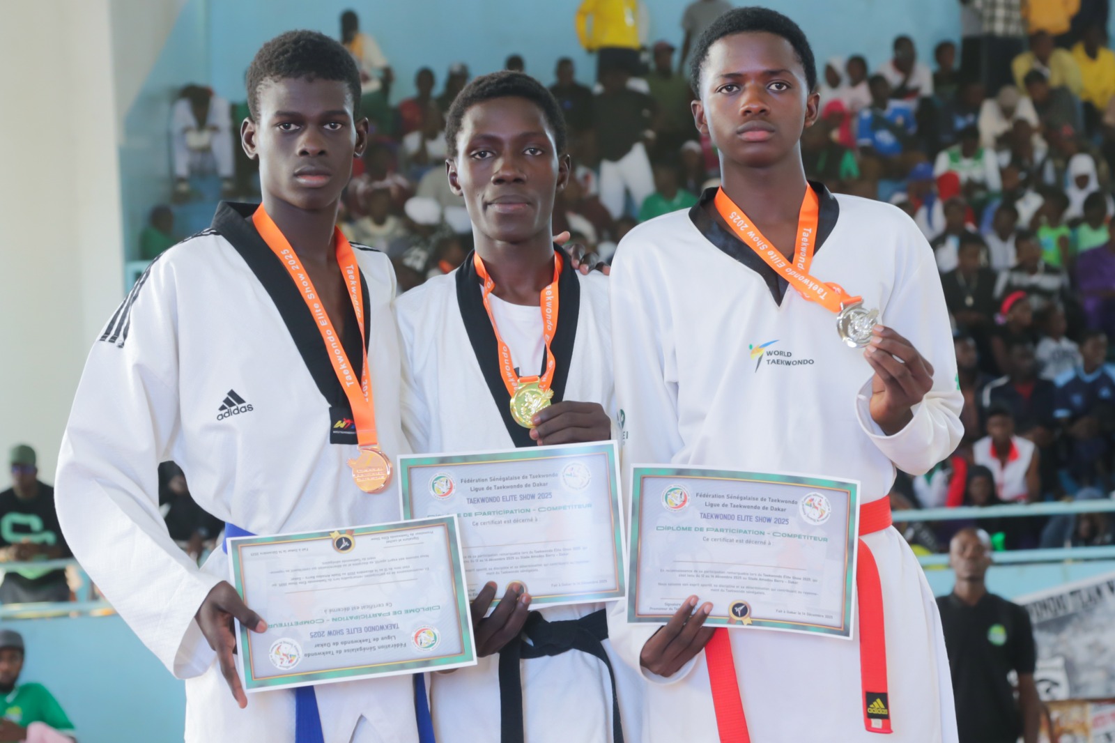 2eme Edition Taekwondo Elite Show
